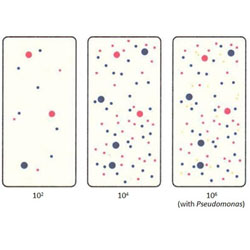 Dip Slide Comparison Chart